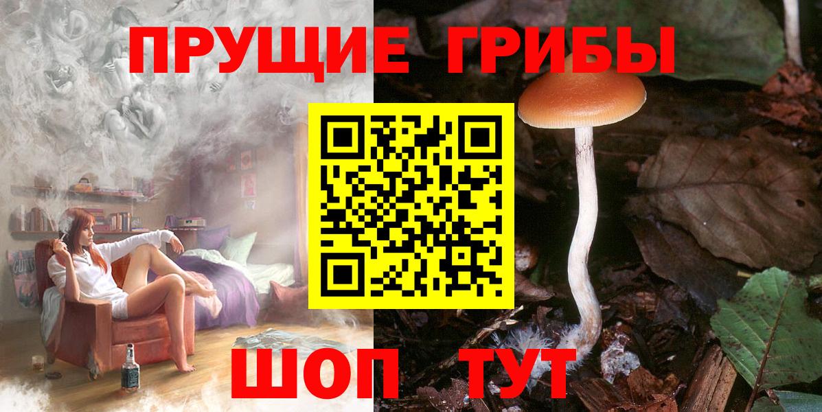 Тимашёвск  Галлюциногенные грибы Magic Shrooms  Вход с VPN  Псилоцибиновые грибы Cubensis 